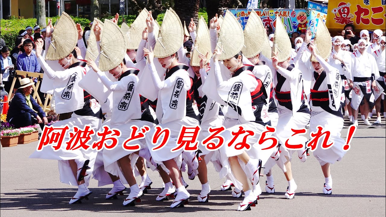 もはや芸術「藝茶楽」はなはる2019徳島藍場浜awaodori Gejaraku@Tokushima Japan