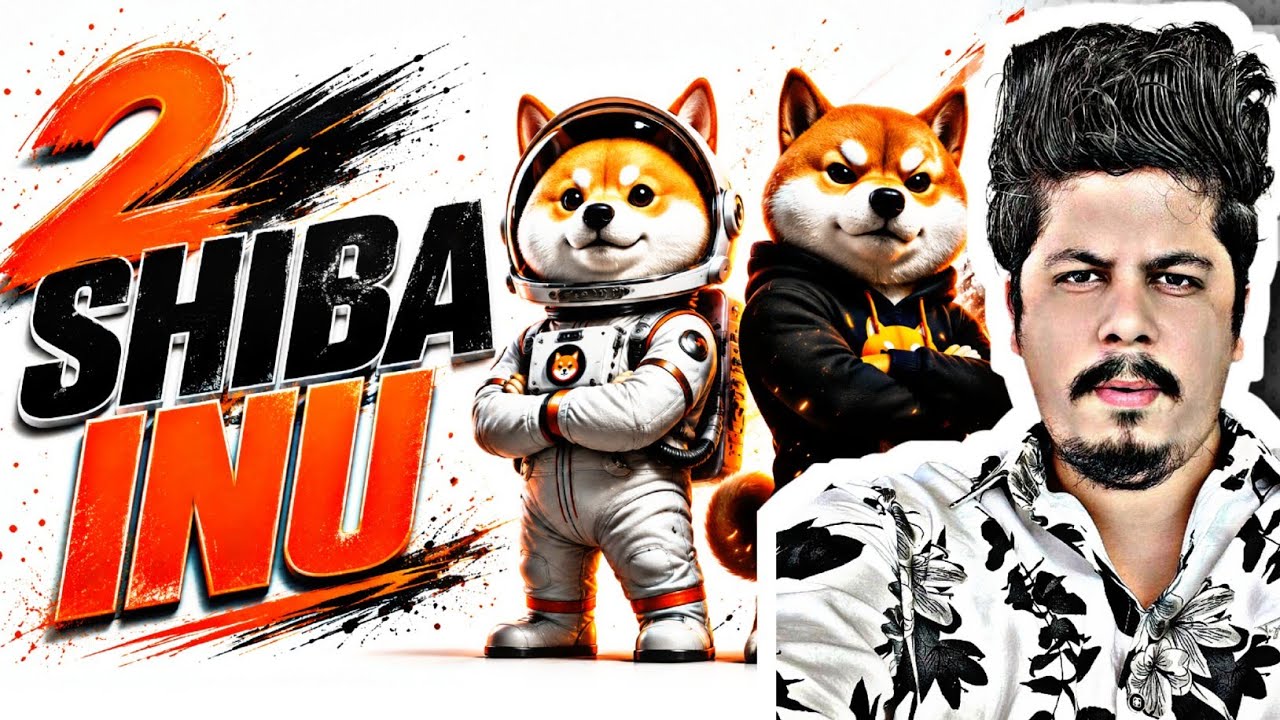 2 Shiba 