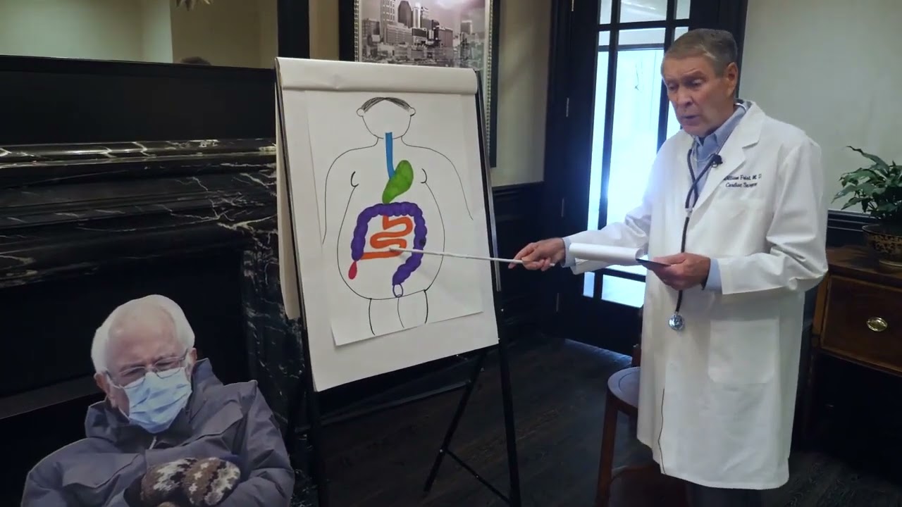 What do the legislative process and gastrointestinal tract have in common?