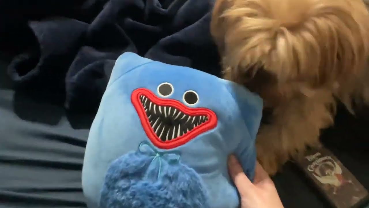 Charlie vs huggy wuggy 
