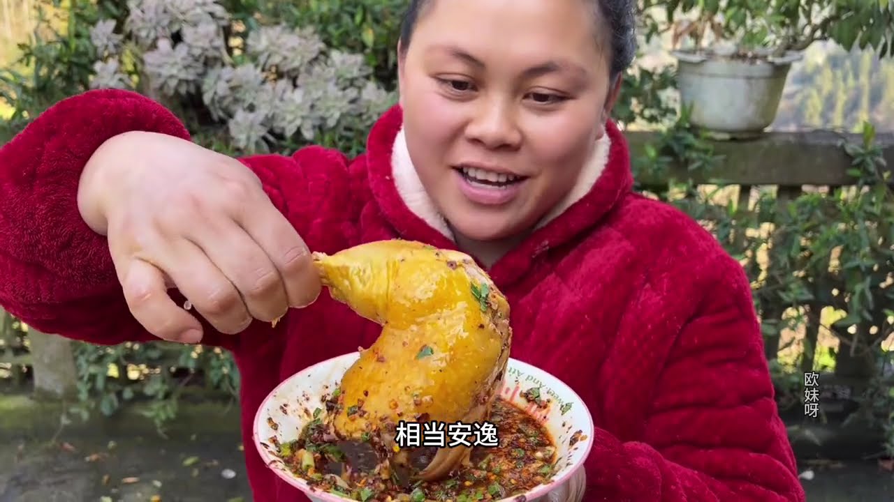 Today I'm enjoying a delicious steamed three-yellow chicken.今天清蒸一只美味的三黄鸡吃过瘾