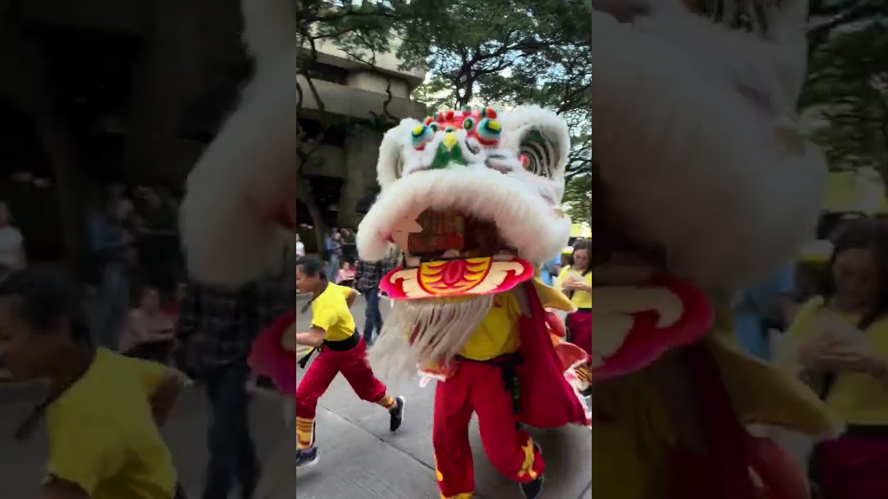 Chinese New Year Parade 2026❤️Oahu, Hawaii🌴🌸