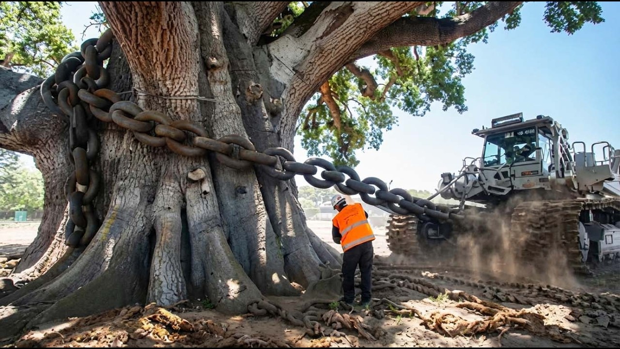 10 Most Powerful, Extreme Heavy-Duty Machines Operating On Another Level