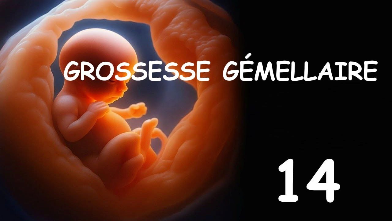 Embryologie (2025) : La GROSSESSE GÉMELLAIRE Par Abdellah