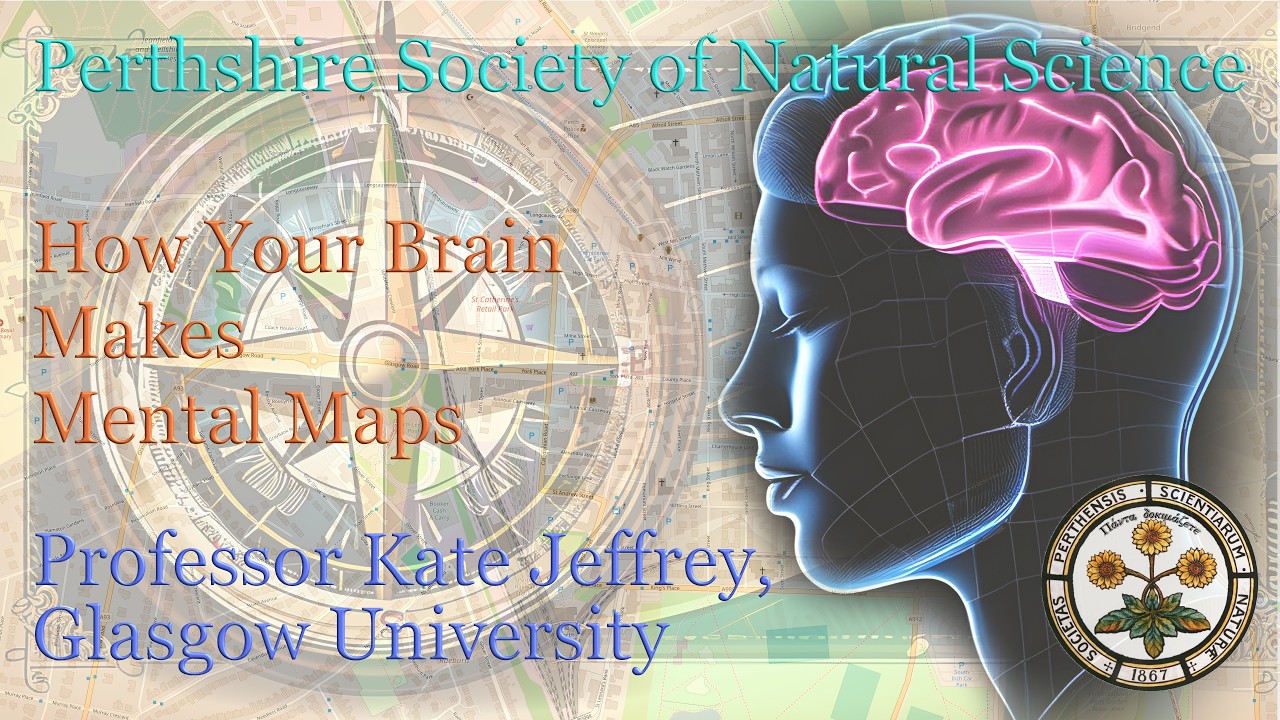 Curious Minds 10.8: How Your Brain Makes Mental Maps
