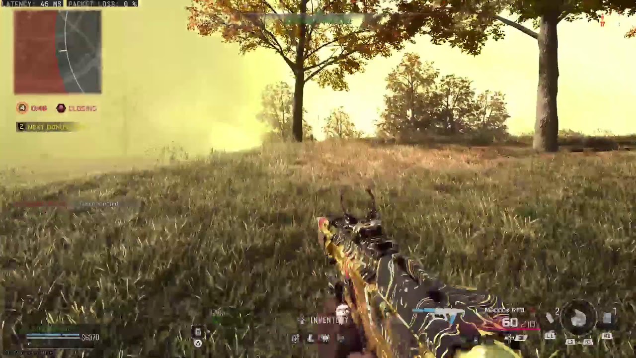 The Scout
