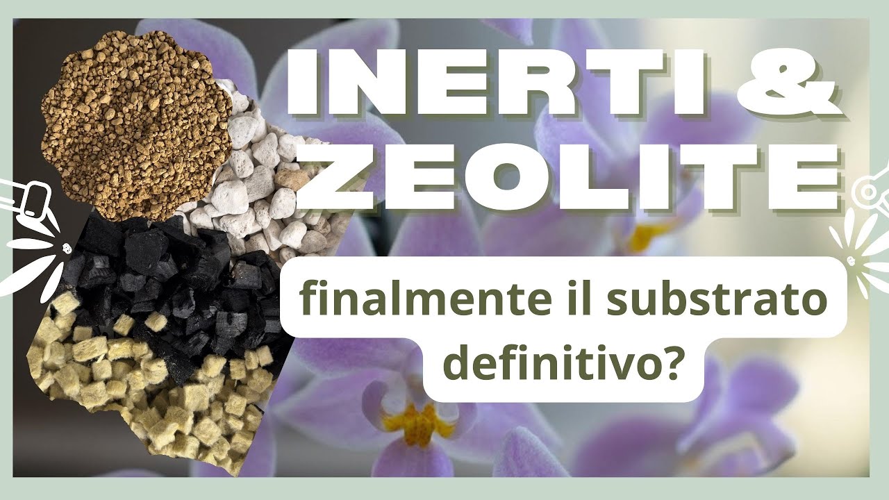 mix di inerti: un substrato perfetto per orchidee con zeolite pomice carbone lana di roccia