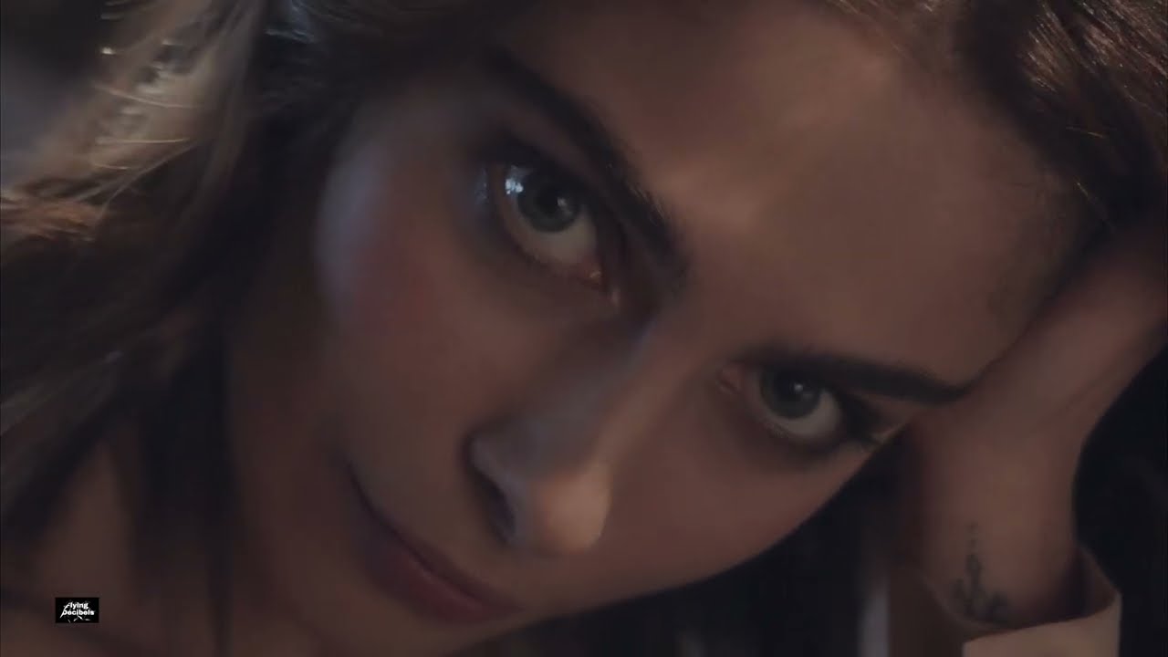 Flying Decibels - COLD  (Official Video)