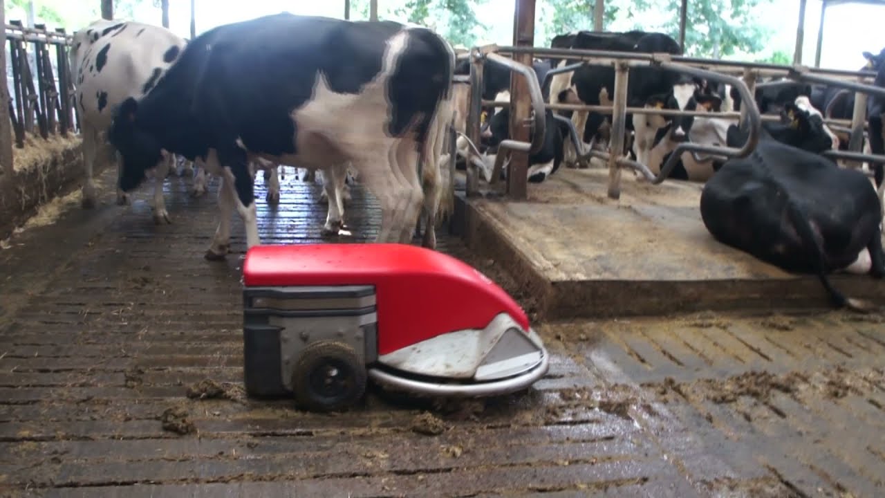 Lely Discovery S90