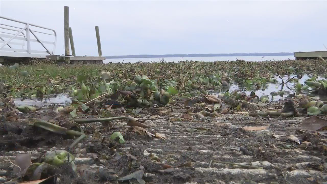 Counties join the fight to save Lake Seminole