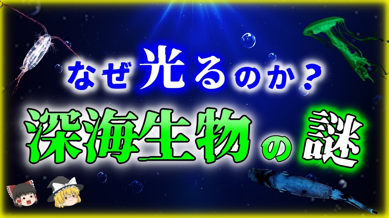 【ゆっくり解説】何故光る？深海の「光る生物」の謎10選を解説