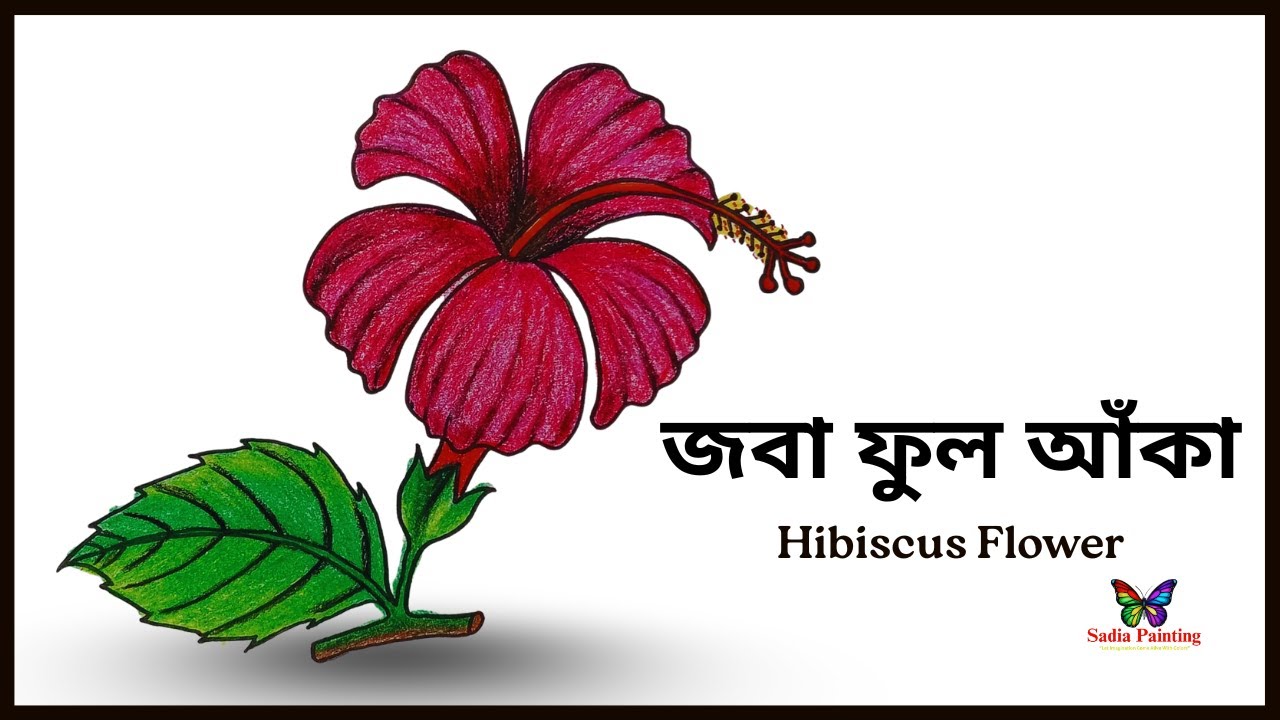 hibiscus flower drawing | জবা ফুল ড্রয়িং | flower drawing | how to draw | drawing tutorial