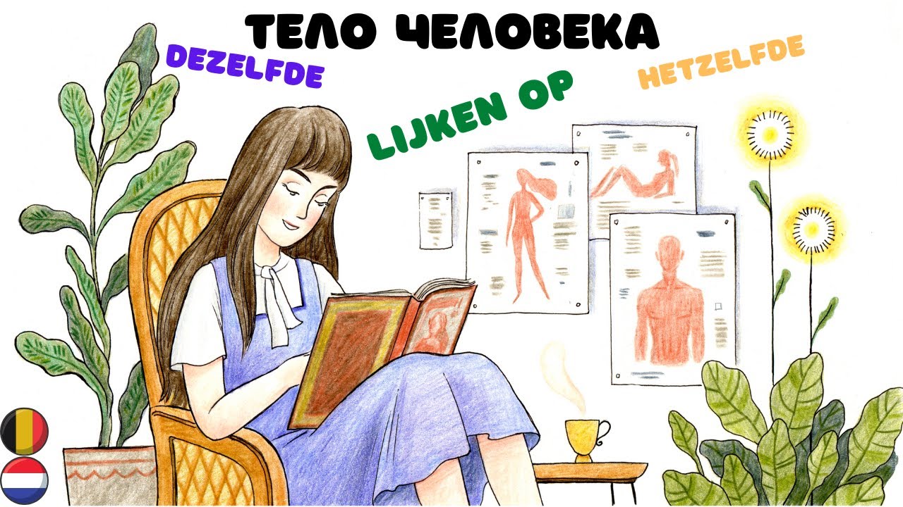 Нидерландский (голландский) язык: тело человека. Hetzelfde / Dezelfde