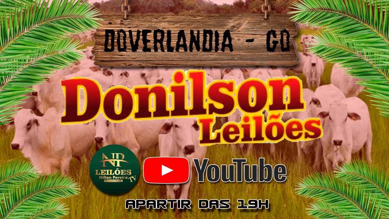 DONILSON LEILÕES - DOVERLÂNDIA GOIÁS 28/01/2026