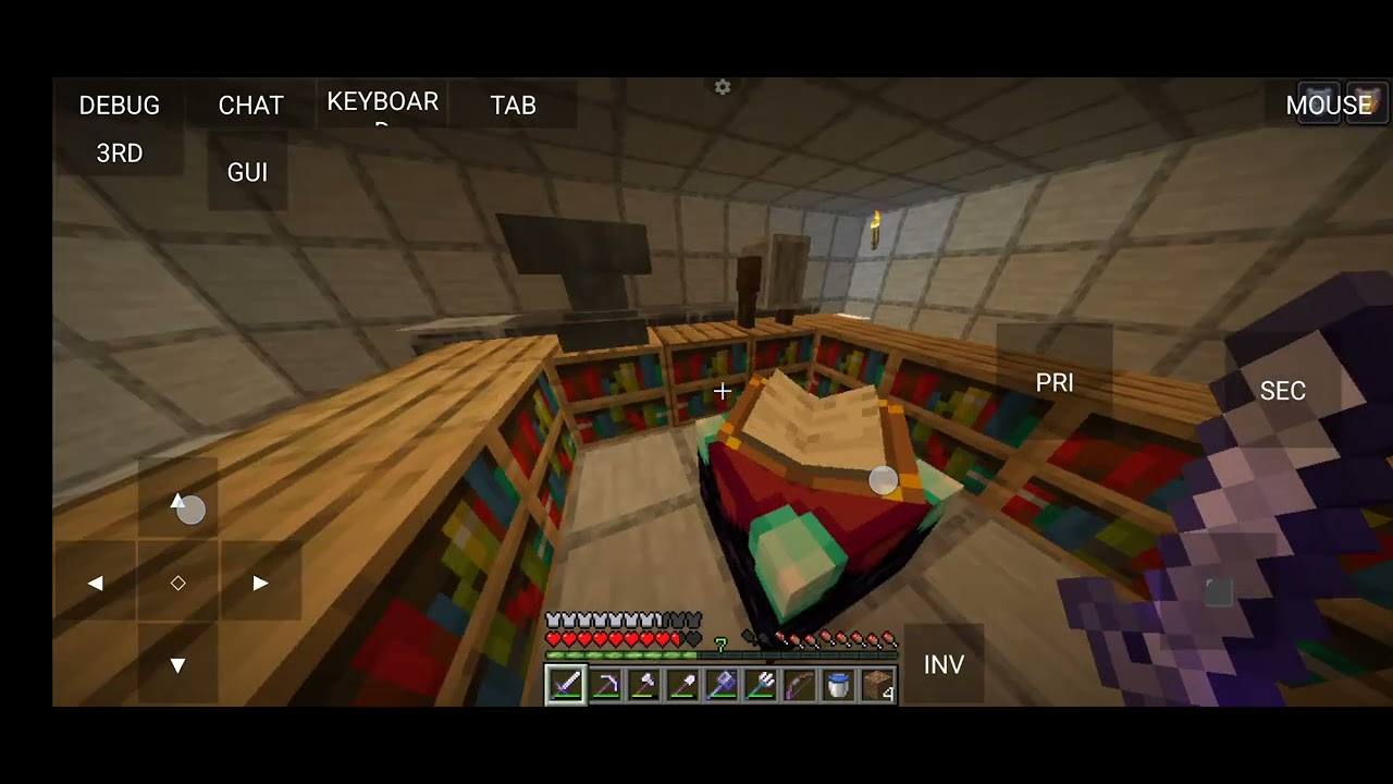 MY NEW SMP