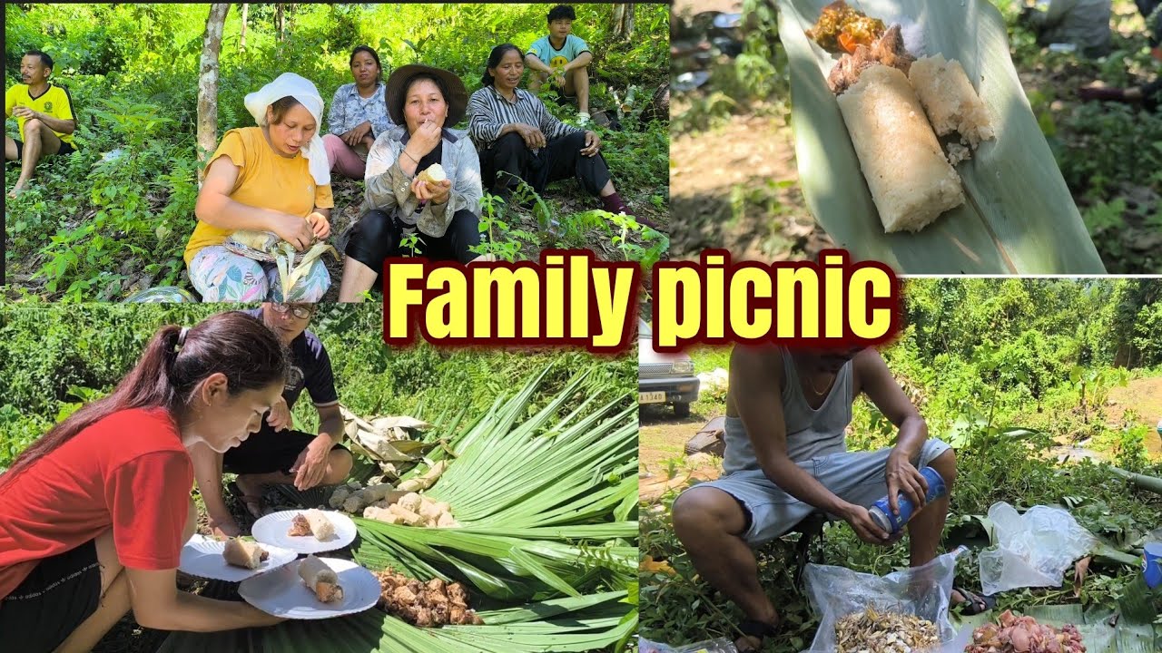 Family picnic in summer at my village !! Arunachal Pradesh village vlog