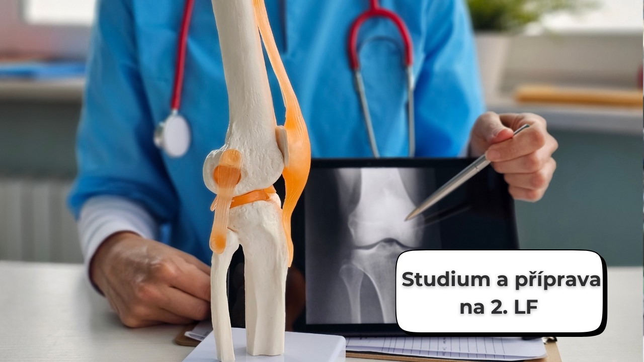 Studium a příprava na 2. LF - Q&A