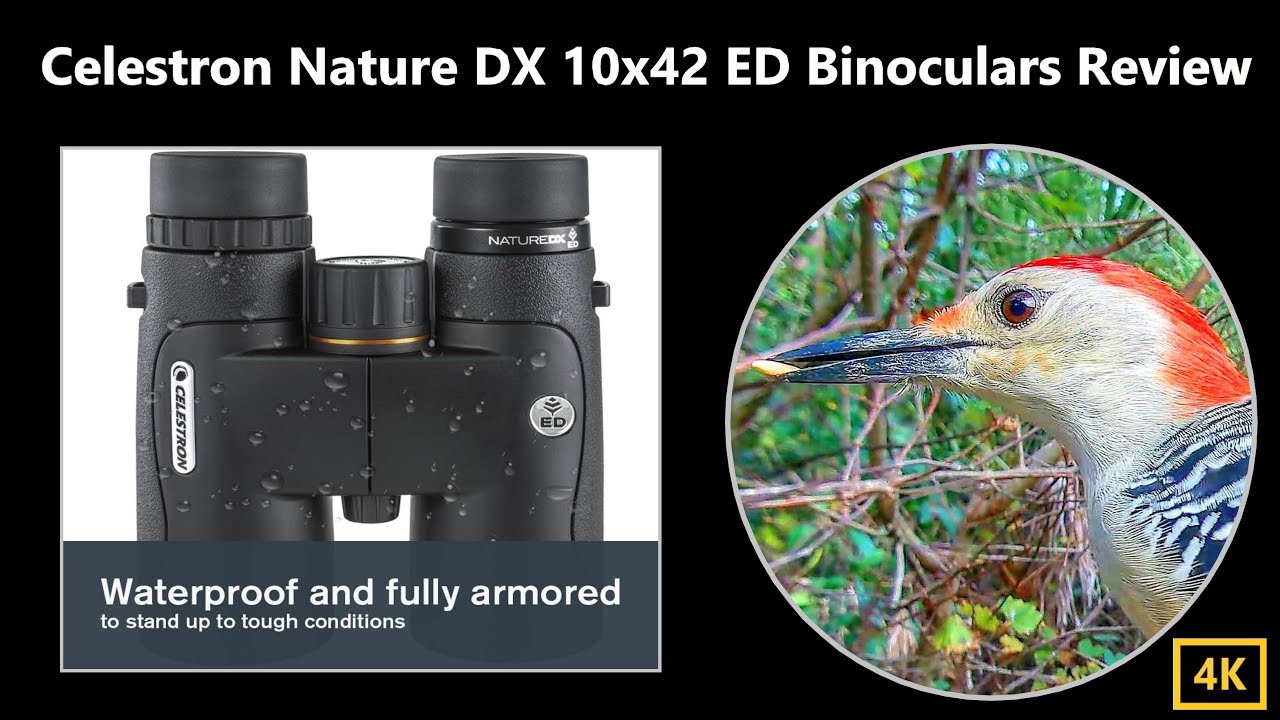 Обзор бинокля Celestron Nature DX ED 10x42