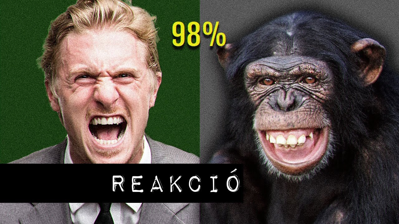 Hazugságok a tankönyvekben (REAKCIÓ)