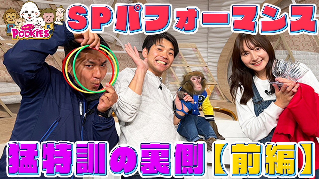 【プーキーズ】駅前フェスタSPパフォーマンス猛特訓の裏側【前編】