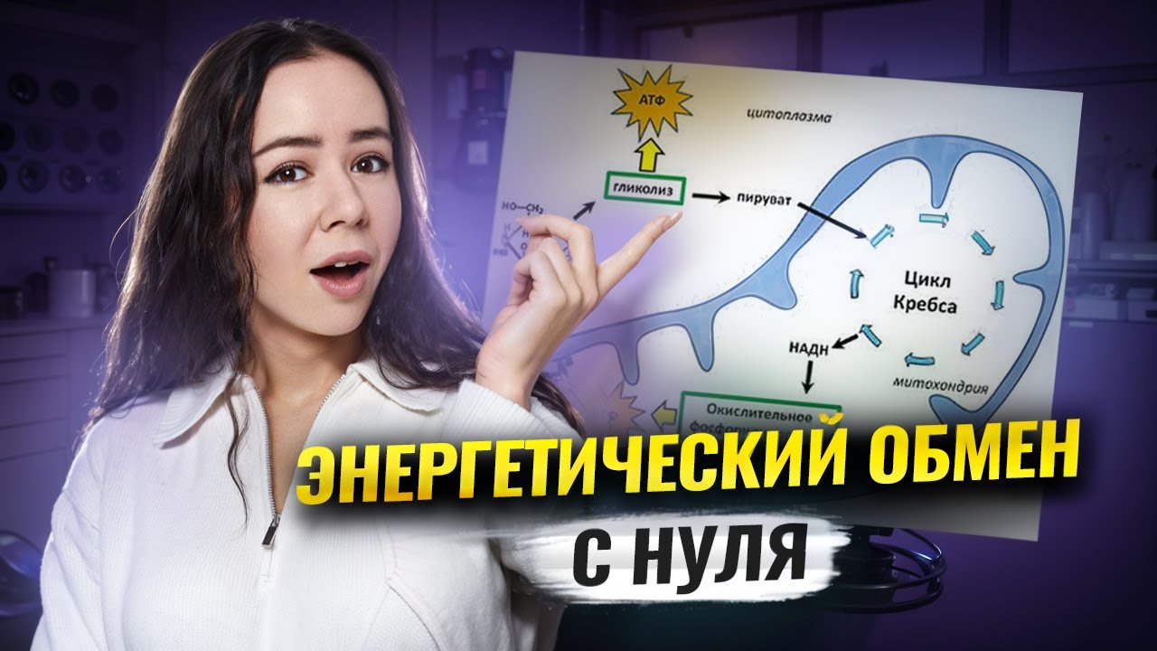 Metabolizm energetyczny: od podstaw | Biologia USE