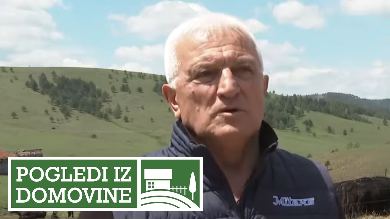 POGLEDI IZ DOMOVINE  - Zlatibor