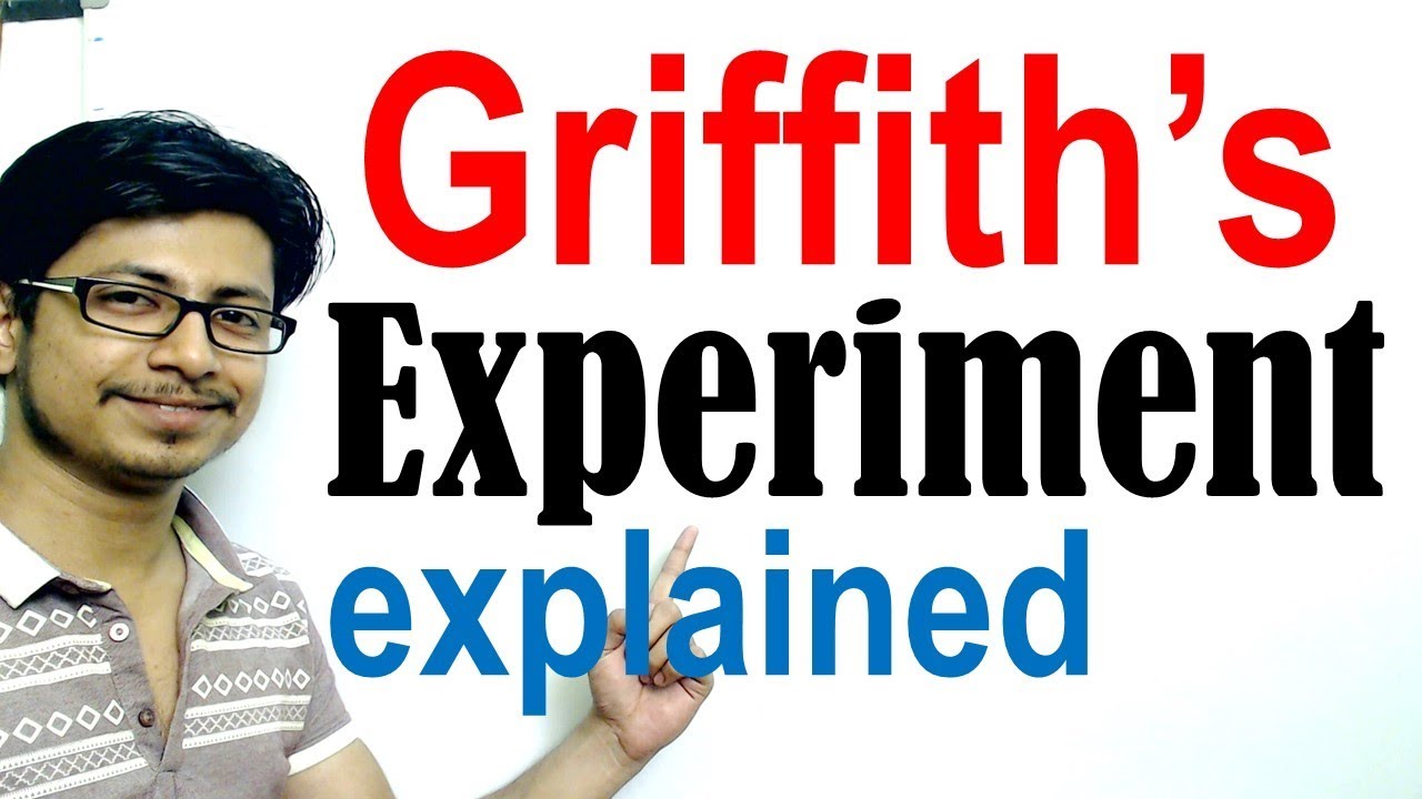 Griffith's experiment