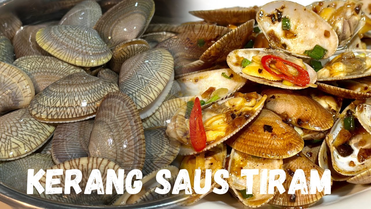 Cara Mudah masak kerang saus tiram ala restoran sea food ||hongkong style