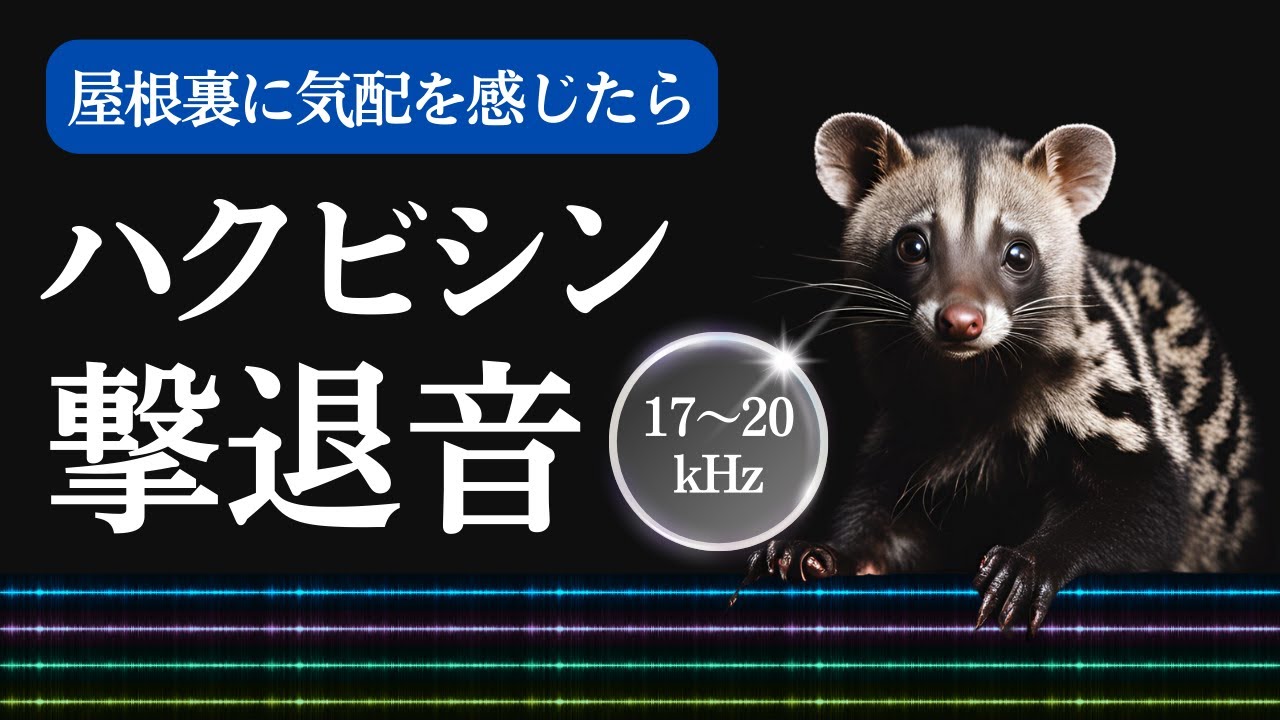 ハクビシン撃退音(10時間)。ハクビシンが嫌がる音。人に聞こえづらい高周波音(17〜20kHz)