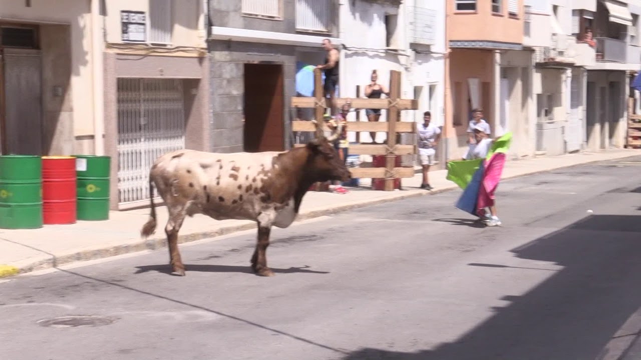 Anem de Festa: Bous al Carrer a la Ràpita