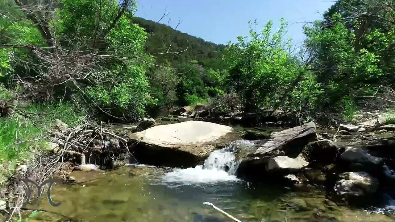 Large Ranch for Sale Texas