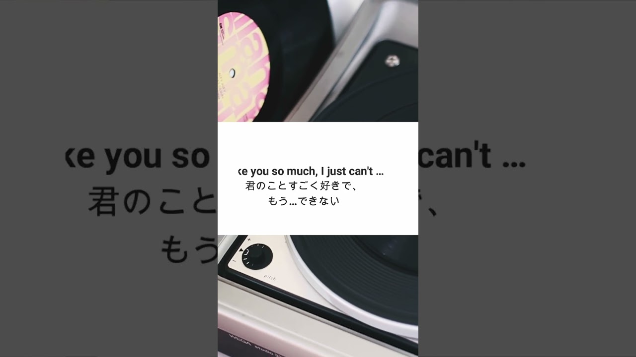 I like you so much, I just cant …