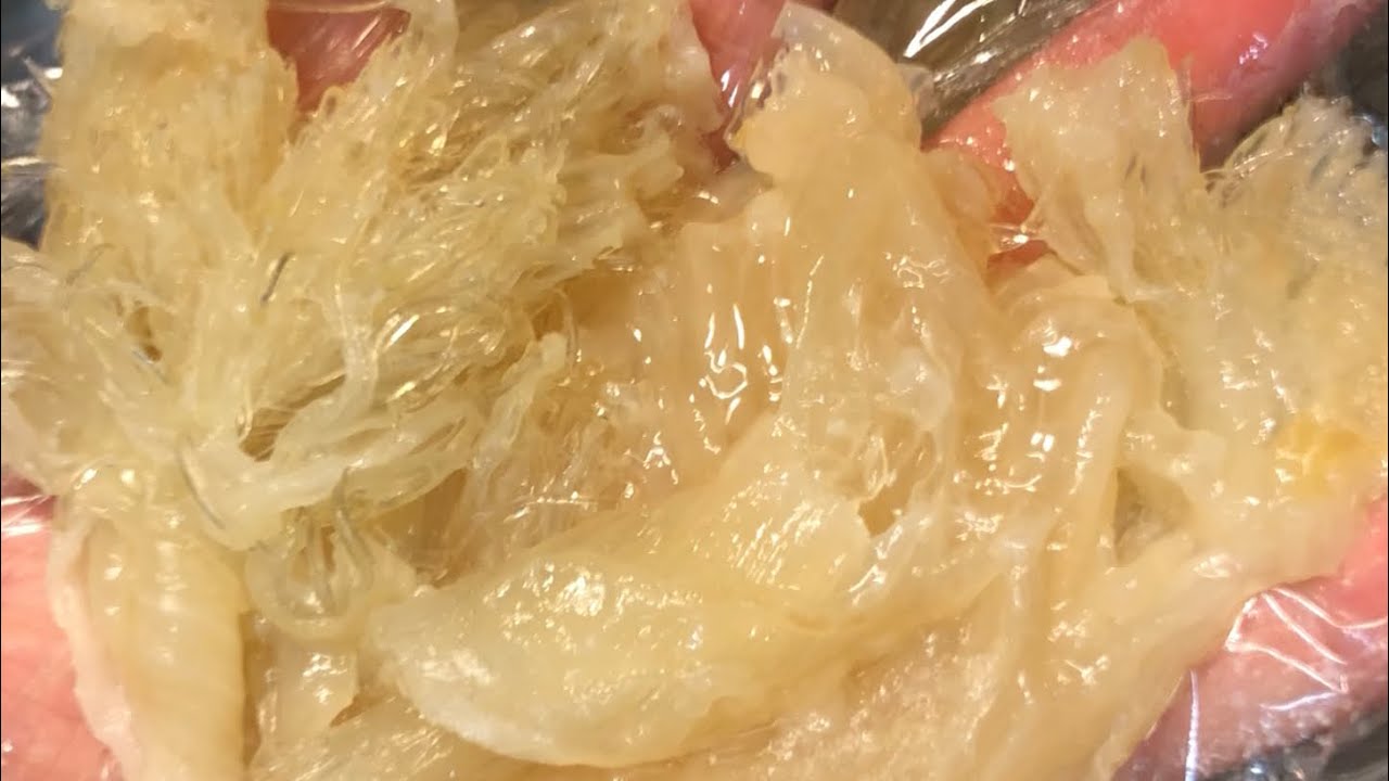 「佛跳牆系列」  浸發牙揀翅（鮑翅）