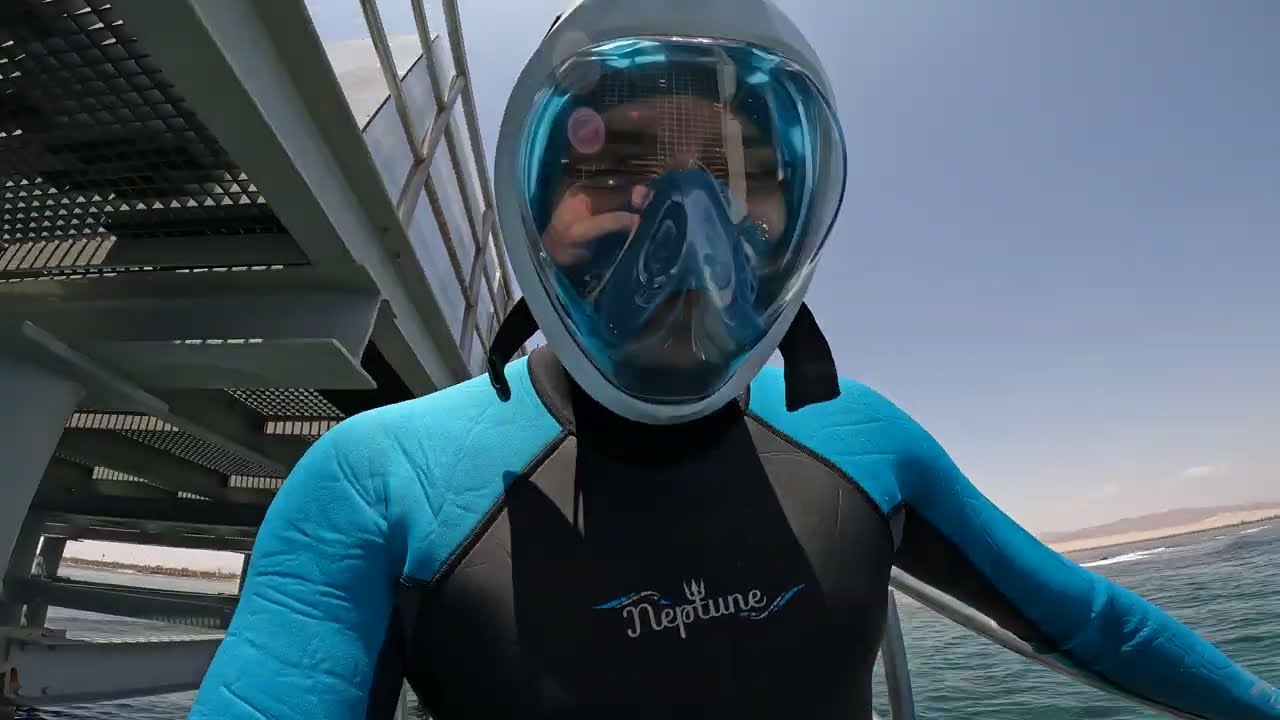 Snorkeling Adventure at Steigenberger Alcazar Pier, Sharm Ash Sheikh, Egypt, May 2023
