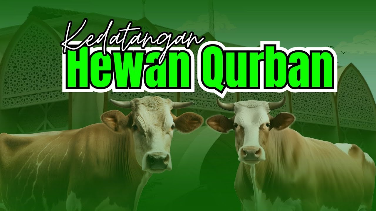 Kedatangan Hewan Qurban di Masjid Al-Muhajirun Griya Satwika [QURBAN 2025]