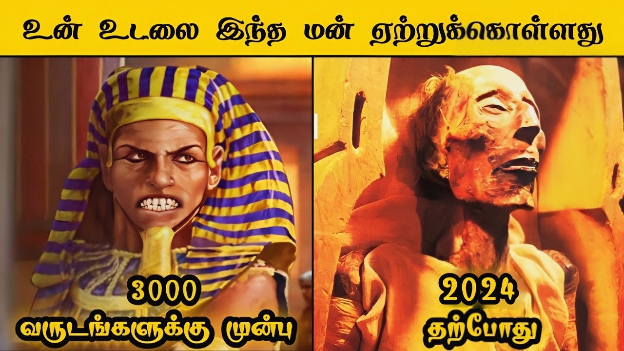 கொடூர மன்னனுக்கு நடந்த கோர சம்பவம்💢 @MrX_76