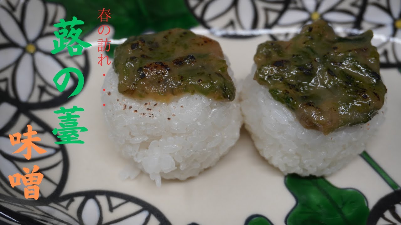 春の味覚！春の山菜の王様、蕗の薹で作る蕗味噌レシピを公開します！
