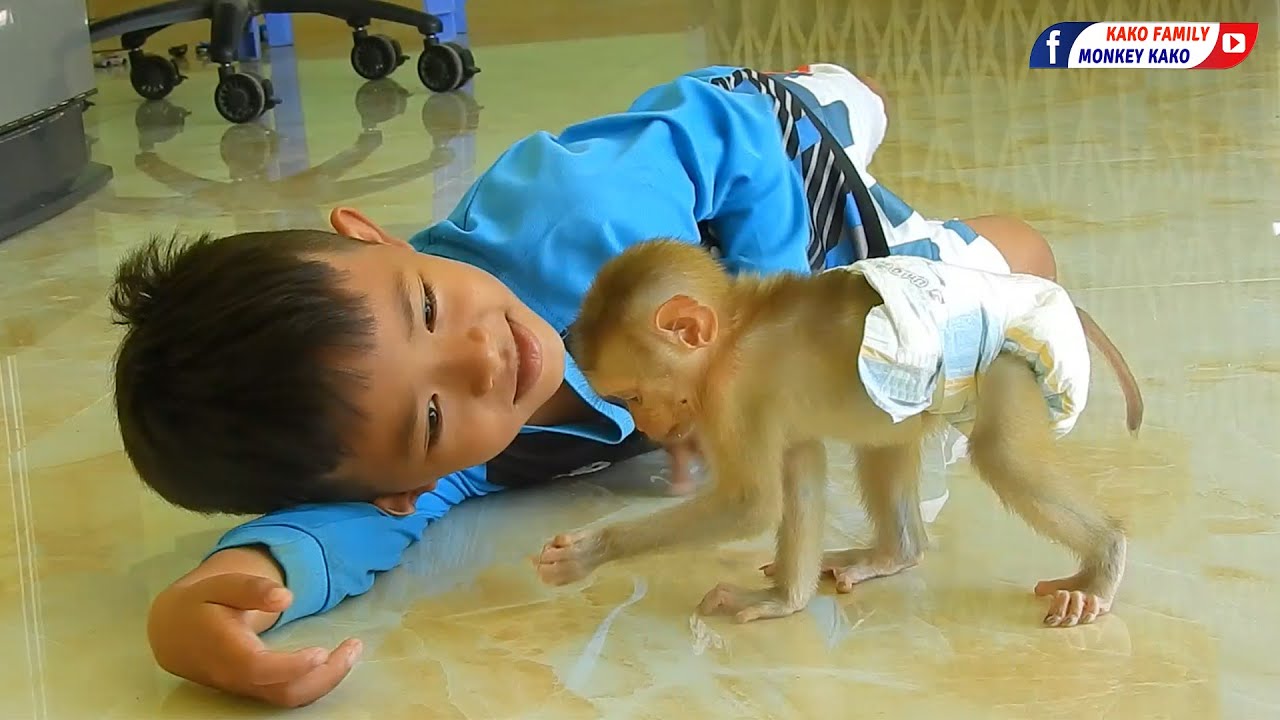 Kako Family | Tiny Baby Olly Playing With Brother Meng