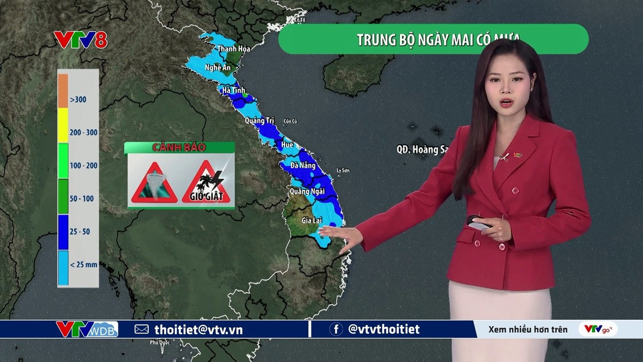 Dự báo thời tiết du lịch 7 ngày tới từ ngày 09 đến ngày 15/02/2026 | VTVWDB