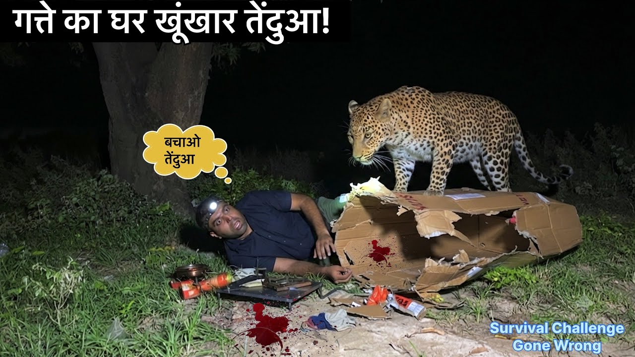 Solo Night Camping 🐆 ख़ूँख़ार तेंदुआ आ गया In Dangerous Forest Jungle Survival Camping Video India ￼