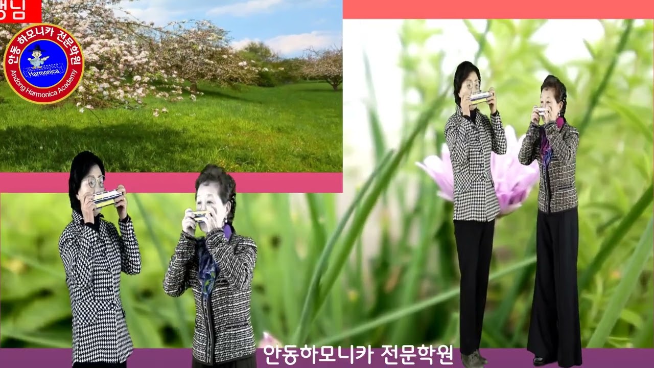 과수원길 2중주 #  하모니카 연주예천 이순일 선생님 # 비네타 안동 김미화  # 안동하모니카 전문학원 #