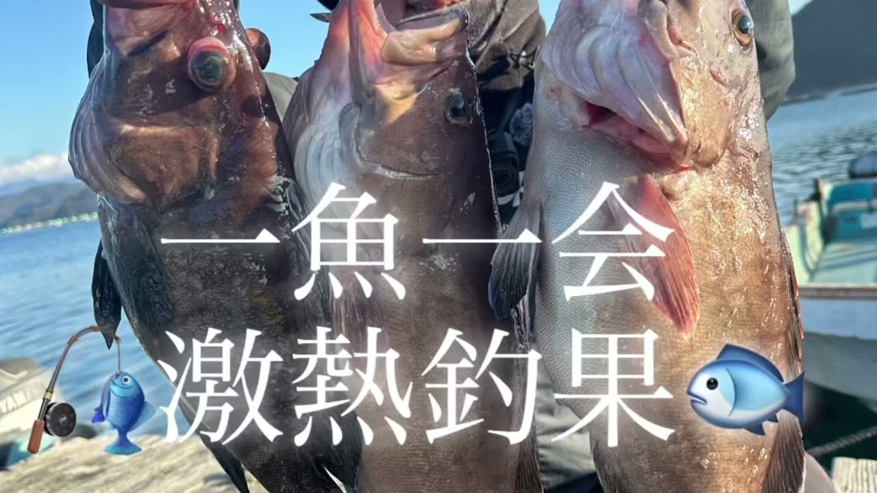 釣行日記　第5話  激しぶ情報やけど釣吉達と釣行したら爆釣りやった🚤🎣😅