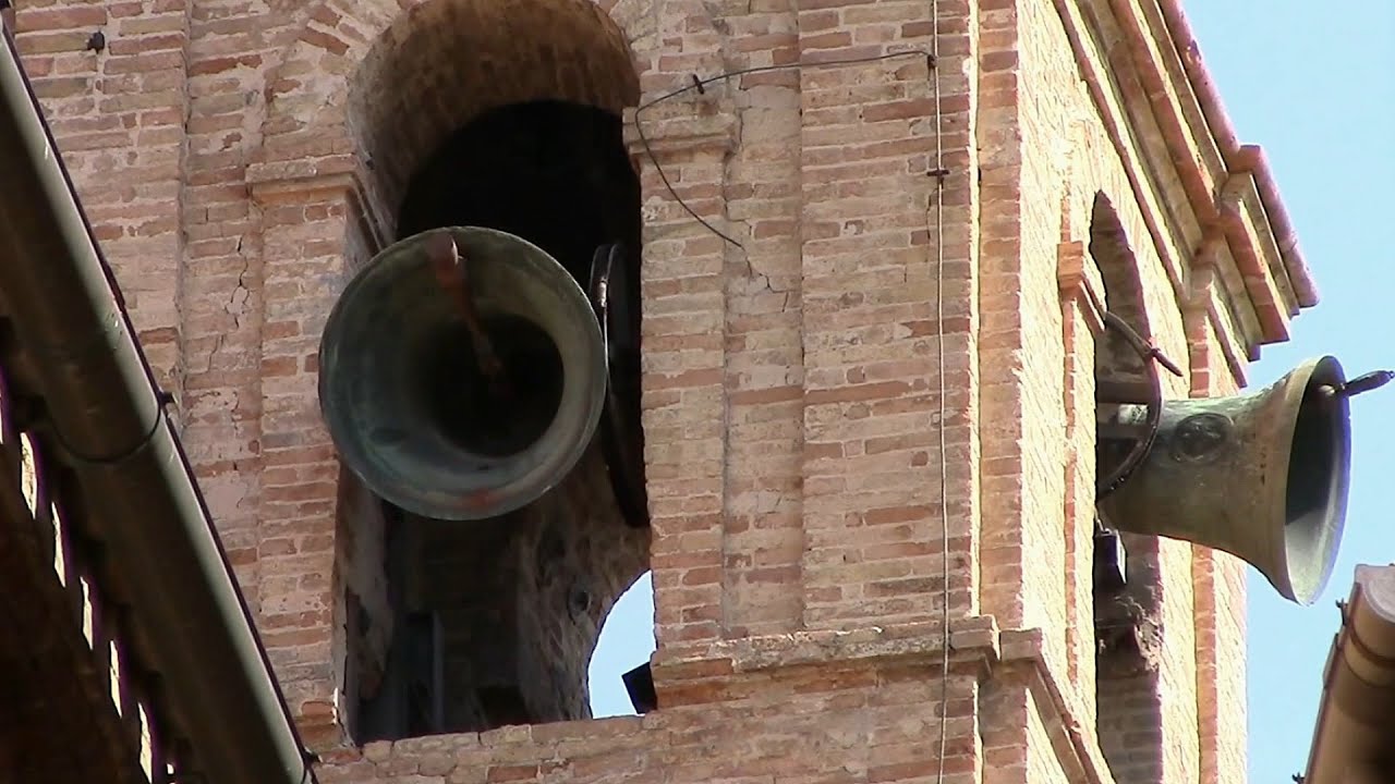 Campane della Collegiata di S.Paolo in Civitanova Alta di Civitanova Marche (MC) v.323