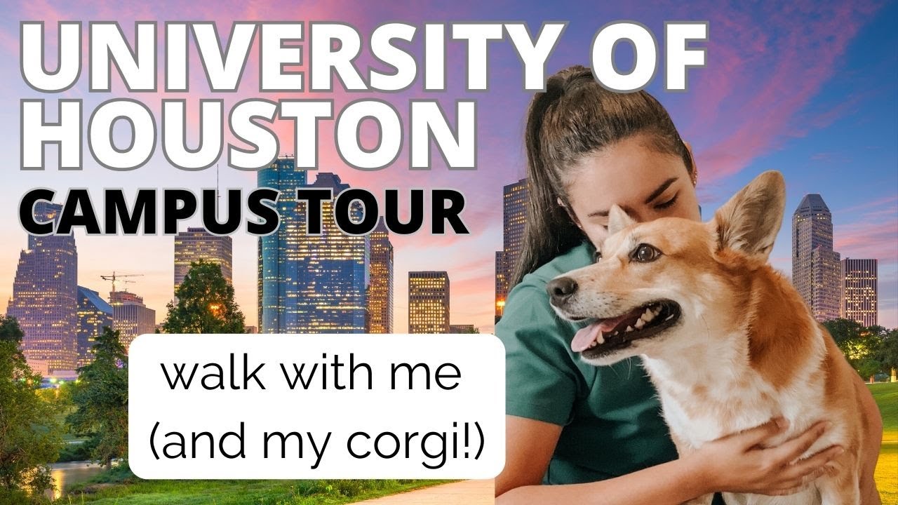 University of Houston Campus Tour | Walk with Me & My Corgi in 4K | Texas Colleges