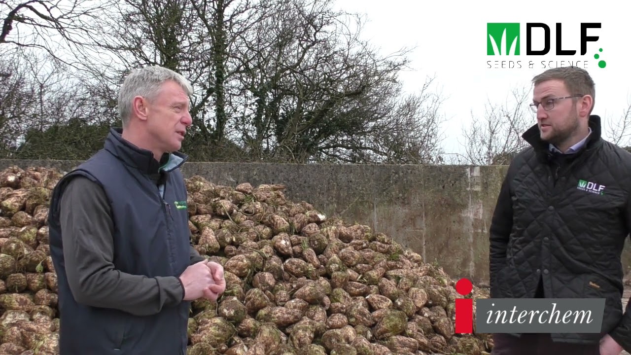 Insights to growing beet with Ciaran Collins of Teagasc