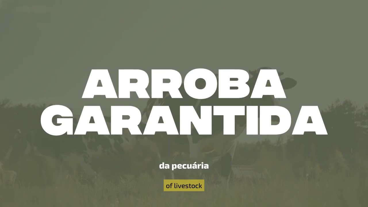 o Arroba Garantida pode fortalecer a sua fazenda!