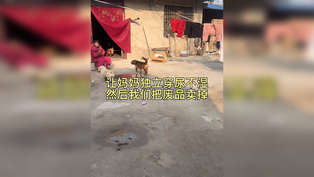 今天把废品全收拾出来卖掉！