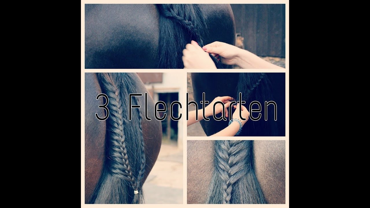 3 Flechtarten für den Schweif / TUTORIAL