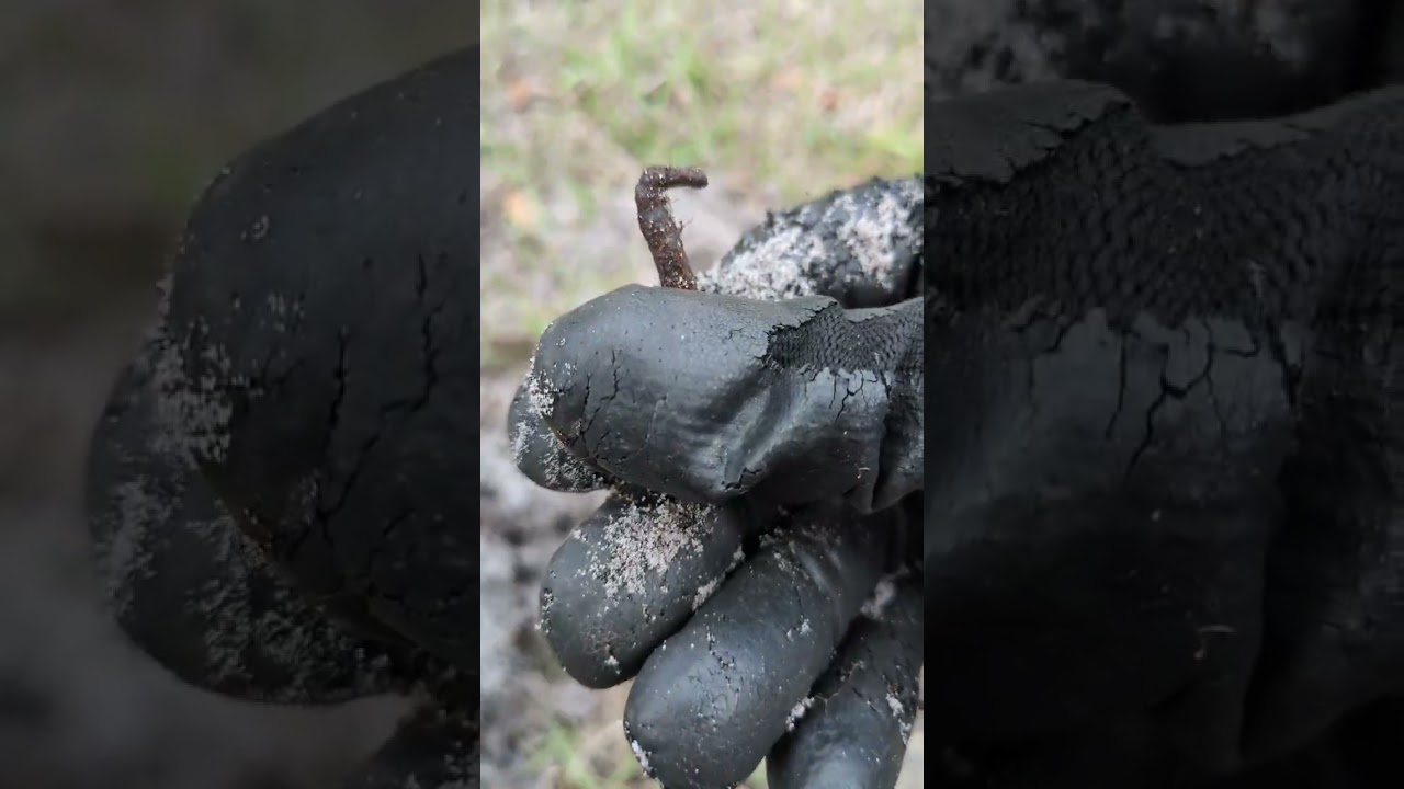 Minelab Vanquish 460 in action paired with ULHUND Pinpointer for the win! 