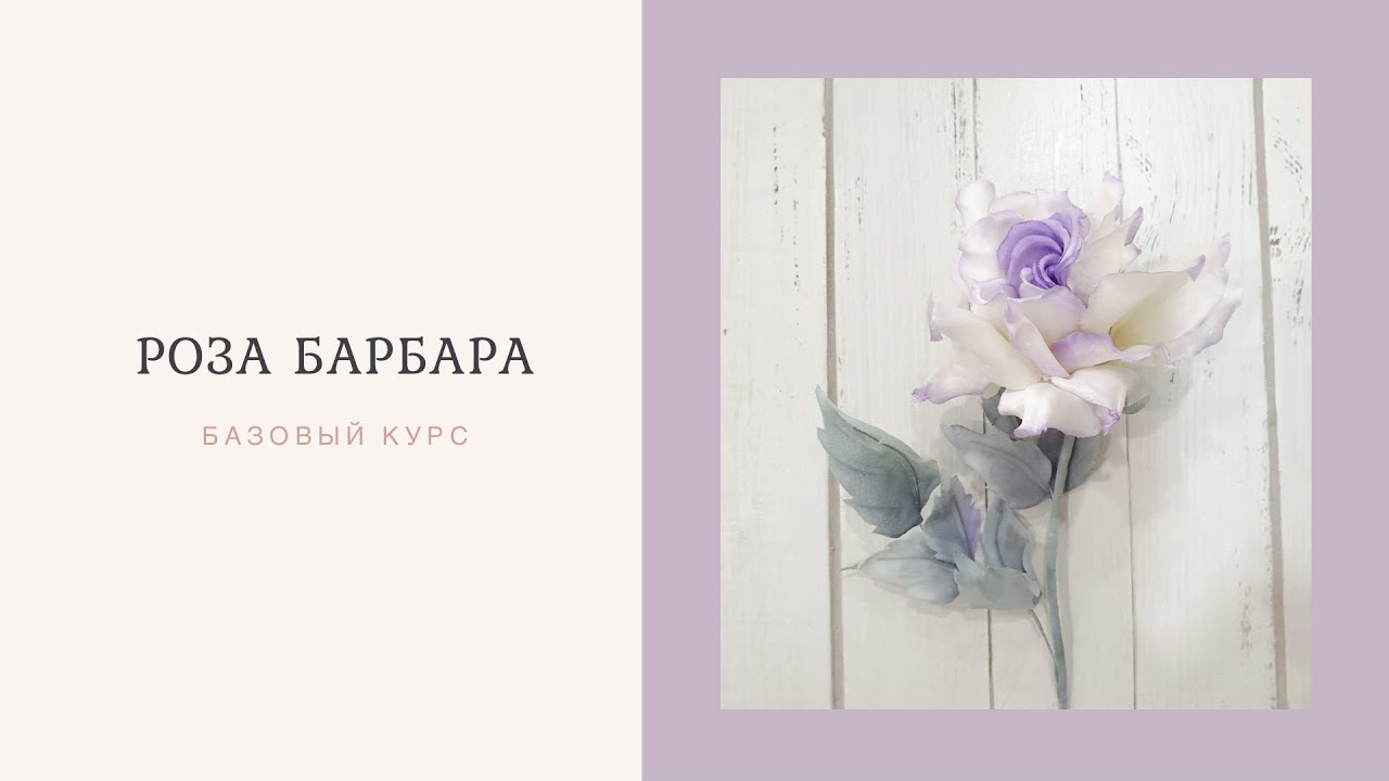 Базовый курс №1  Rosa Barbara